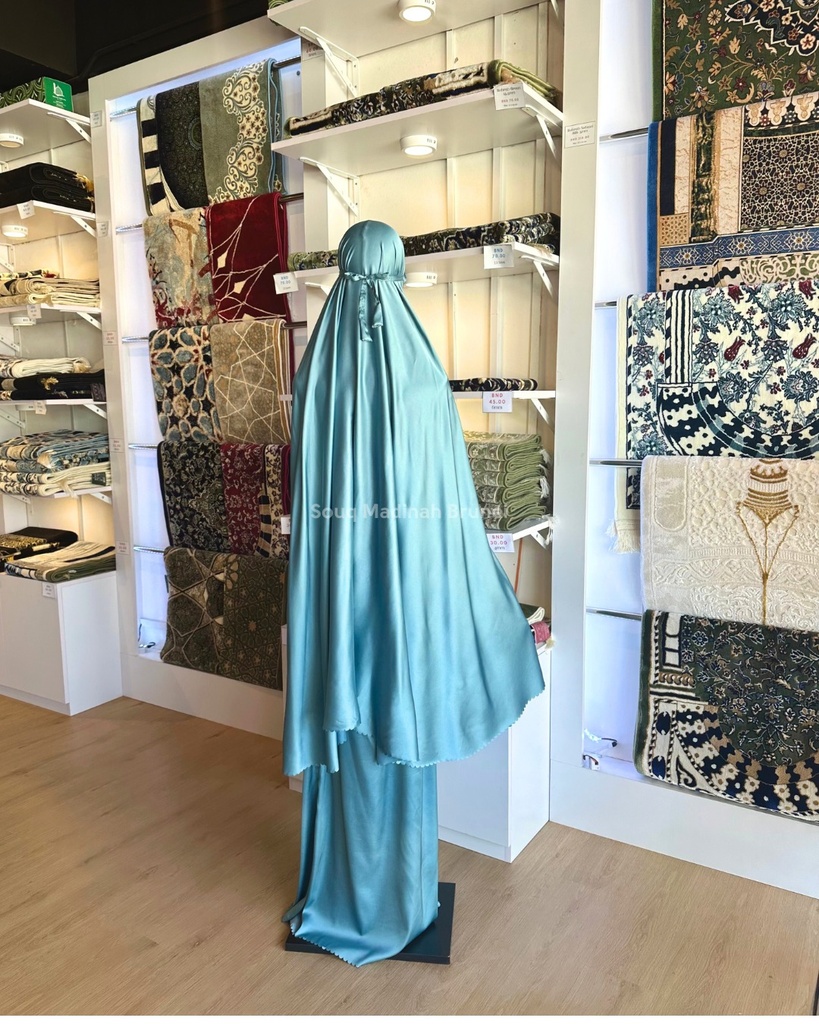 TT Humaira : Dolphins Aqua2
