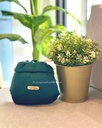 TT Humaira : Emerald9