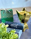 UST Alif 101 5