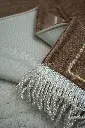 Brown - 04.webp