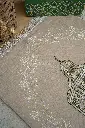 Light Brown - 03.webp