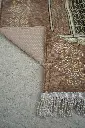 Brown - 04.webp