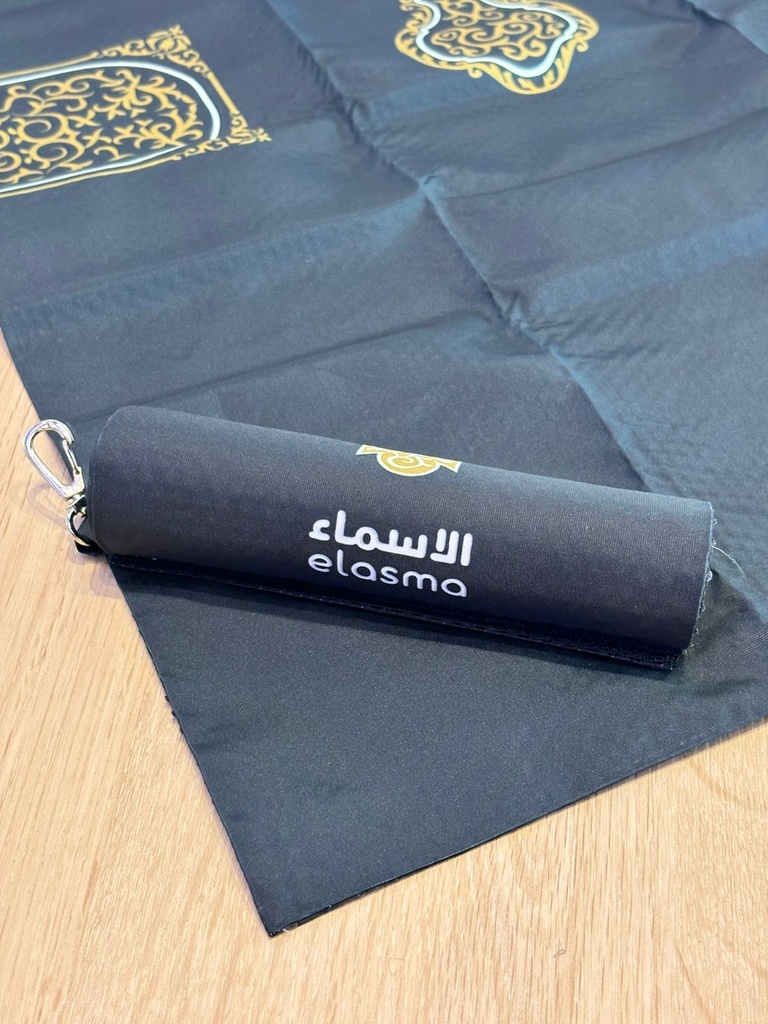 UST Elasma : KS01