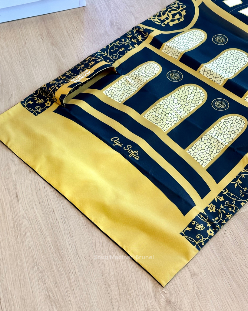 ST Elasma : AYSF01