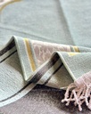 LW 1224-04 (Arch) 2mm3 : Light Green