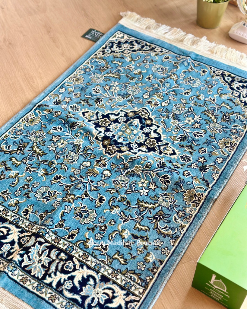 Light Blue SL - 03.webp