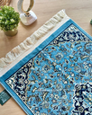 Light Blue SL - 05.webp