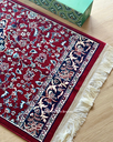 Red SL - 06.webp