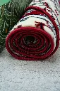 Maroon - 04.webp