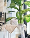 TT Vulana (PL) : 10 (Beige)9