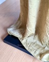 TT Rianti : Swamp (Ruffle)8