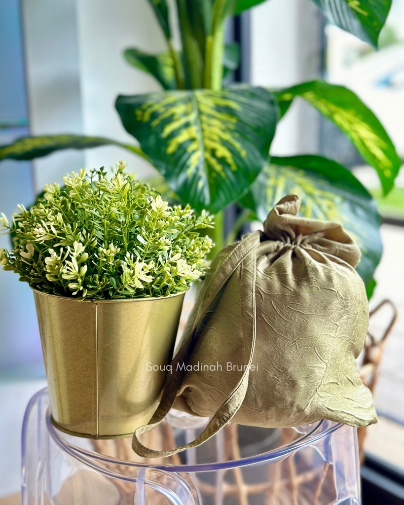 TT Rianti : Swamp (Ruffle)9