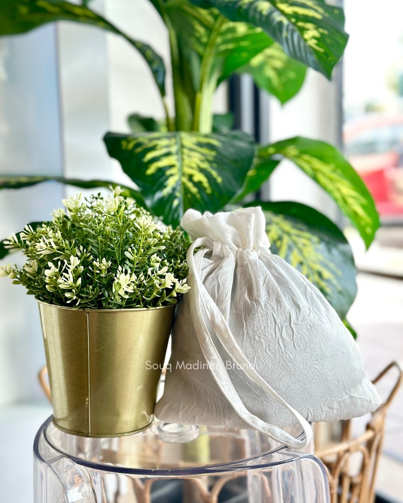 TT Rianti : White10