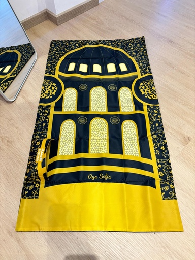 ST Elasma : AYSF01